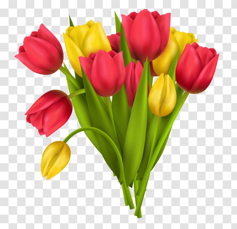 Vase Flower Stock Photography Tulip - Lily Family - Hand-painted Transparent PNG
