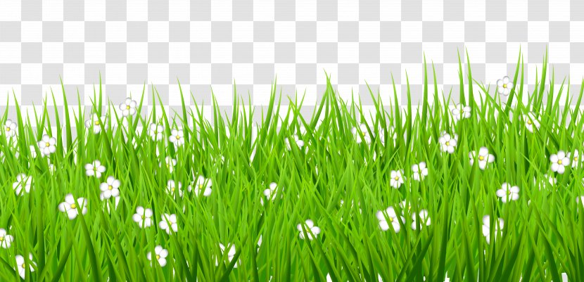 Lawn Clip Art - Meadow - Transparent Grass With White Flowers Clipart Transparent PNG