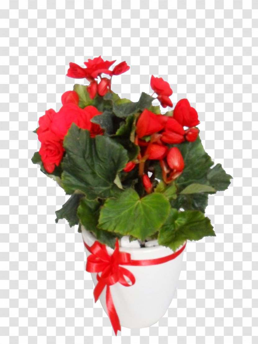 Mercado Jamaica Rose Gift Flower Floristry - Bouquet Transparent PNG
