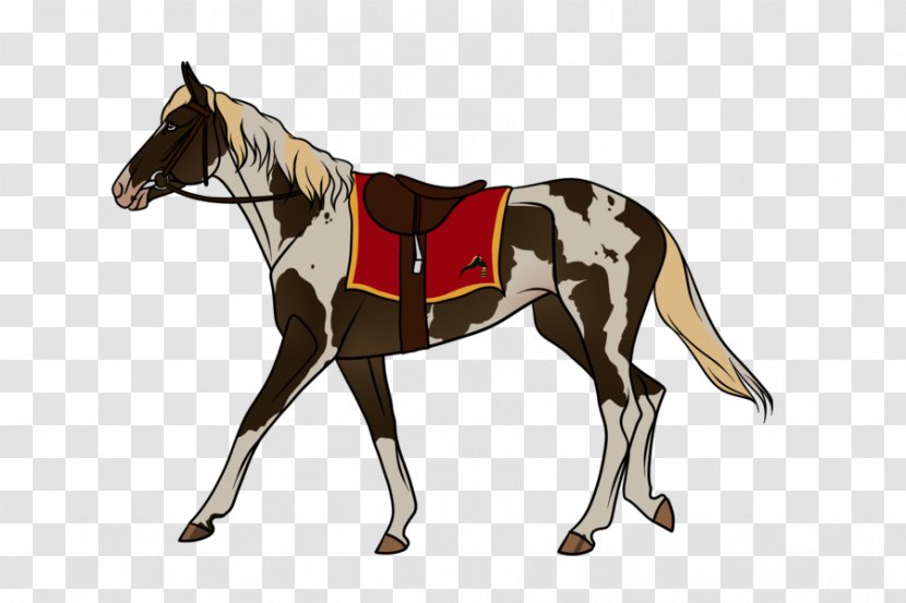 Mule Foal Stallion Mare Mustang - Bridle Transparent PNG