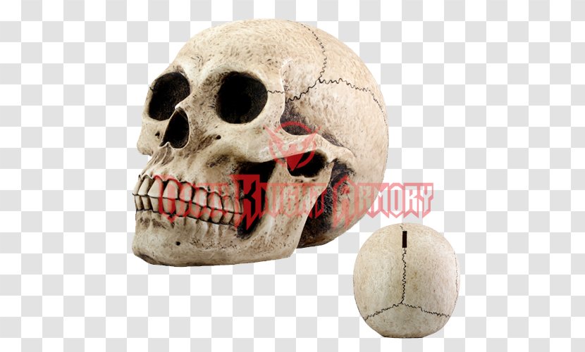 Piggy Bank Skull Coin Saving - Investment Fund Transparent PNG