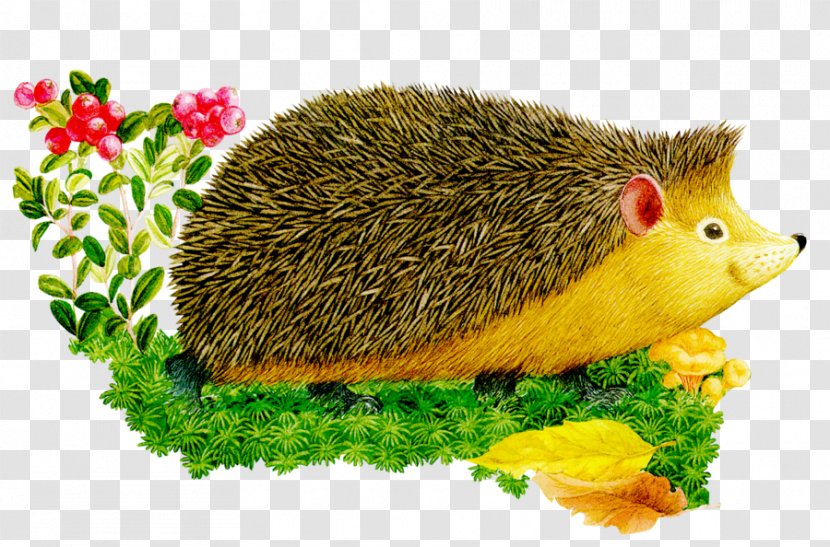 European Hedgehog Animal Alphabet For Children. - Mouse Transparent PNG