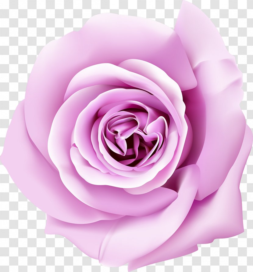 Desktop Wallpaper Perfume Banner Poster - Pink Flowers - Petal Transparent PNG