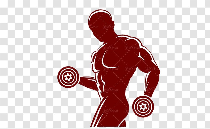 Fitness Centre Weight Training Silhouette Muscle Physical Transparent PNG
