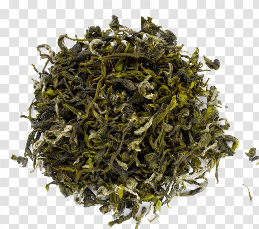 Darjeeling Tea Sencha White Oolong - Baihao Yinzhen Transparent PNG