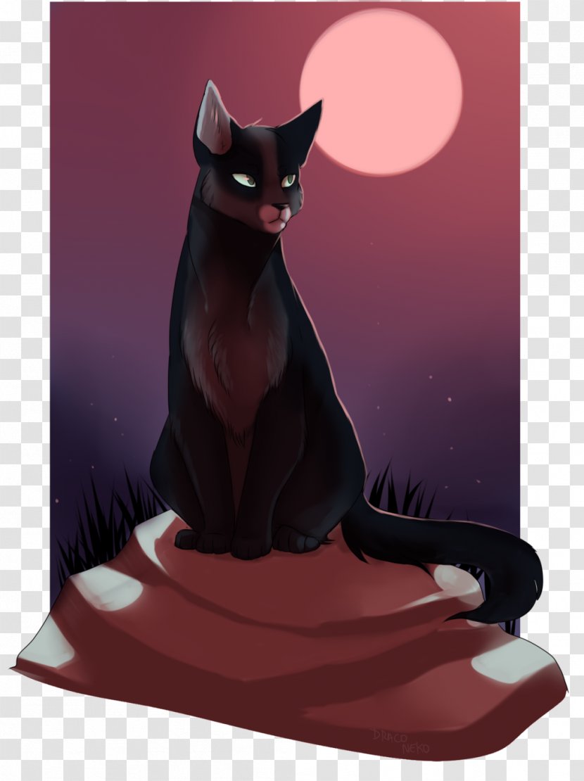 Whiskers Cat Character Fiction - Like Mammal Transparent PNG