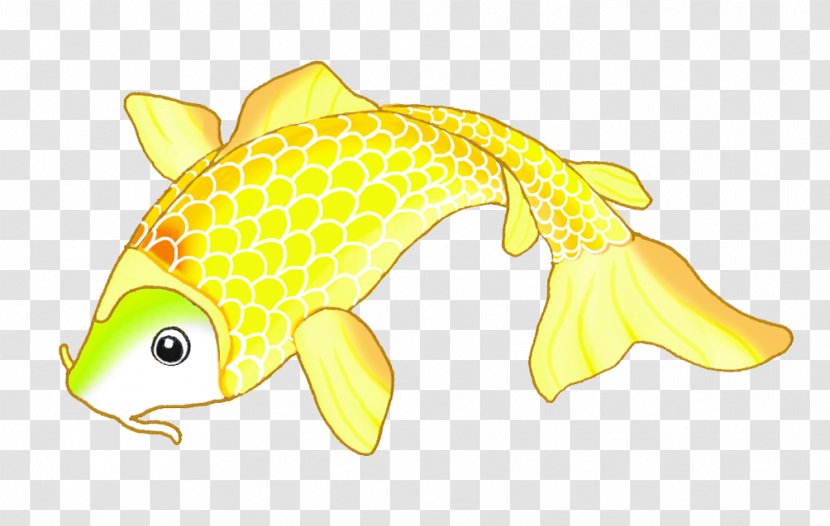 Fish Seafood Animal Yellow Fauna - Figure - Koi Transparent PNG