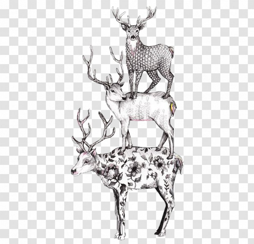 Deer Drawing Illustration - Artist - Three Superimposed Transparent PNG