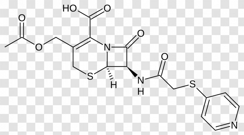 Cefazolin Cefadroxil Cefpodoxime Cephalosporin Pharmaceutical Drug - Adverse Effect - En 2061 Transparent PNG