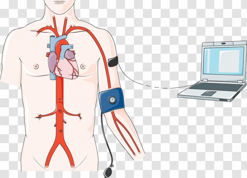 Nursing Care Plan Anatomy Circulatory System Shoulder - Flower - Heart Transparent PNG