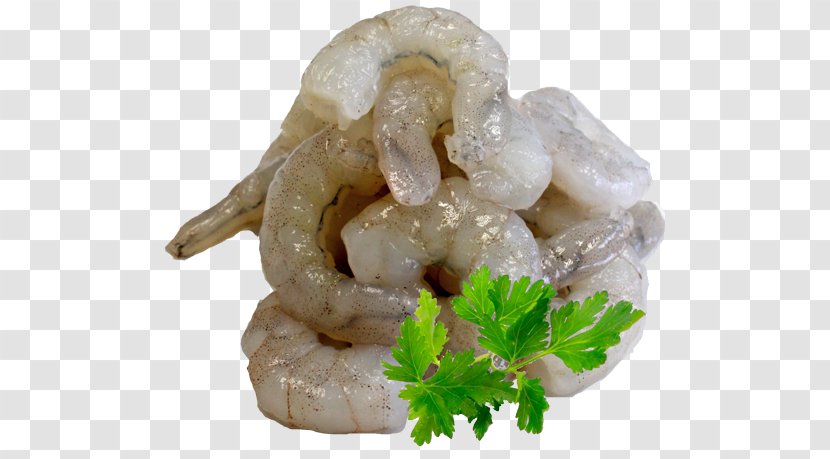 Shrimp And Prawn As Food Caridea Giant Tiger - Meat Transparent PNG