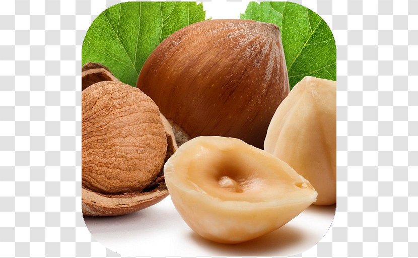 Hazelnut Nutrient Nutrition Facts Label - Flavor - Health Transparent PNG