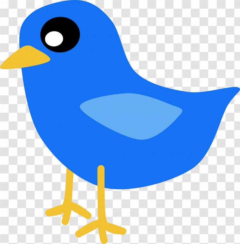 Tweety Bird - Domestic Goose - Bluebird Perching Transparent PNG