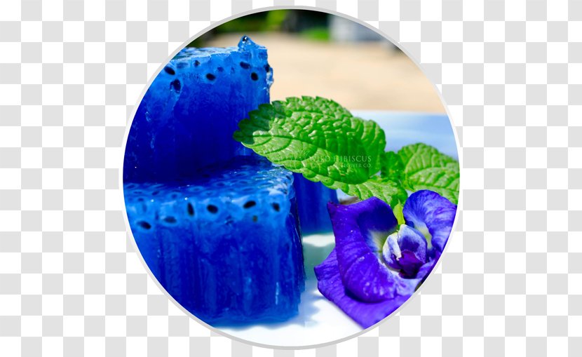 Butterfly Pea Flower Tea Cocktail Blue Asian Pigeonwings - Extract - Jellyfish Transparent PNG