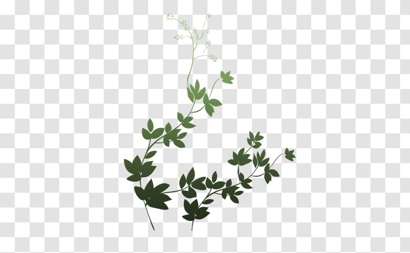 Image Leaf Plant Stem Adobe Photoshop - Boston Ivy - Buckethead Real Identity Transparent PNG