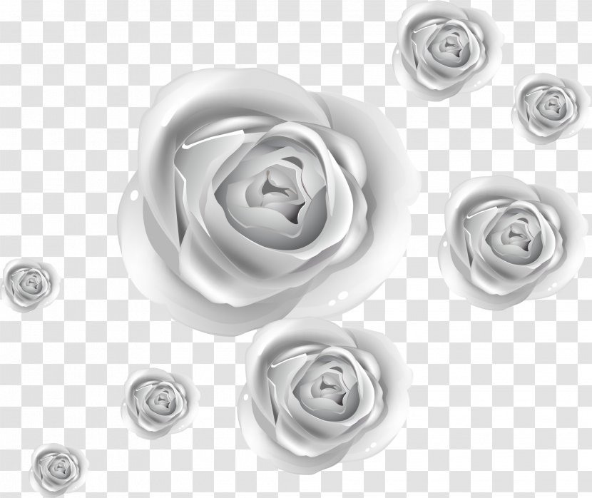 Rose Silver - Flower - Roses Transparent PNG