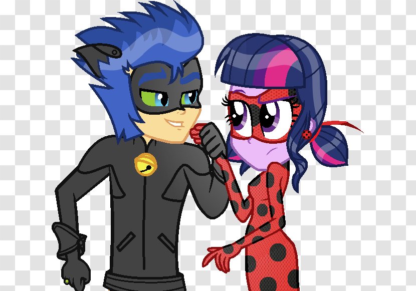 Adrien Agreste Flash Sentry Cat Marinette Dupain-Cheng Twilight Sparkle Transparent PNG