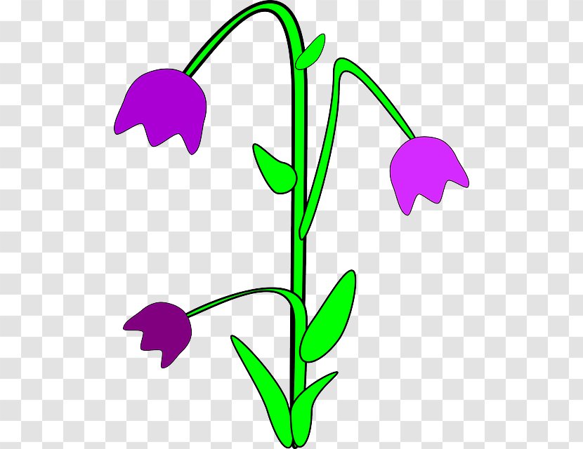 Rain Wellington Boot Clip Art - Royaltyfree - Purple Flower Transparent PNG