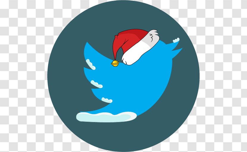 Social Media Christmas Network - Bird - Theme Transparent PNG