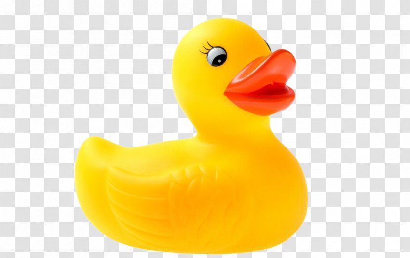 Little Yellow Duck Project Rubber Toy - Water Bird - Cute Transparent PNG