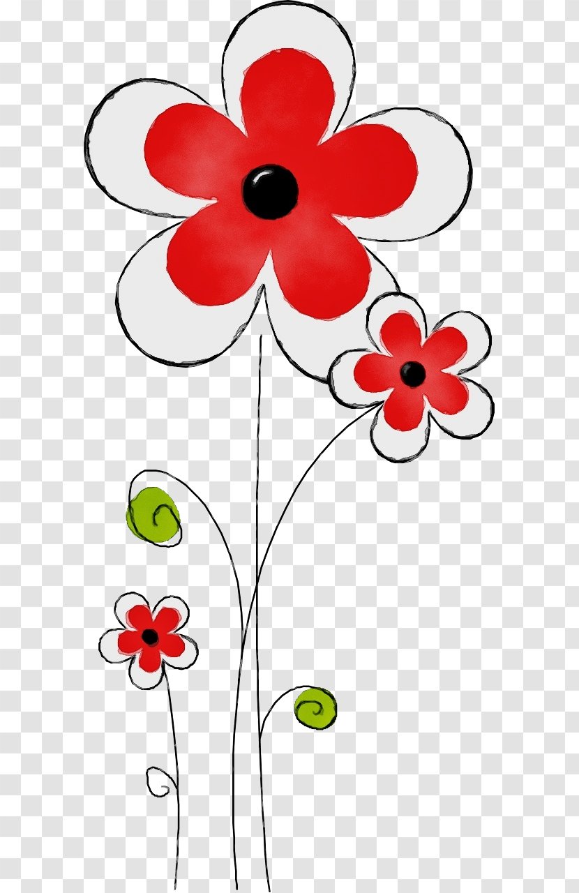Flowers Background - Coquelicot - Wildflower Transparent PNG