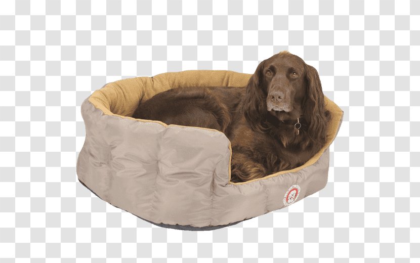 Dog Breed Sporting Group Companion Bread Pan - Pet Shop Transparent PNG