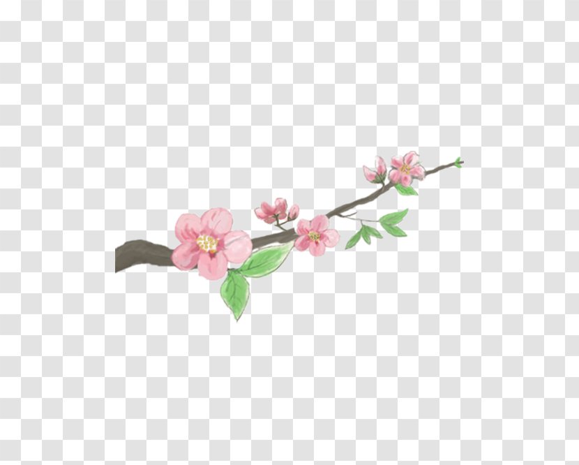 Peach Blossom Cherry - Memory Transparent PNG