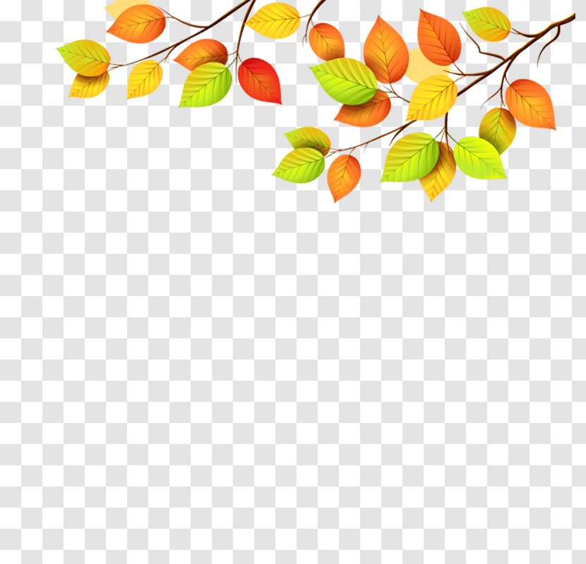 Autumn Leaf Color Clip Art Green - Fruit Transparent PNG
