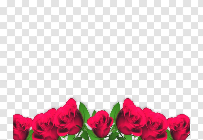 Blessing Greeting God Garden Roses Day - Cut Flowers Transparent PNG