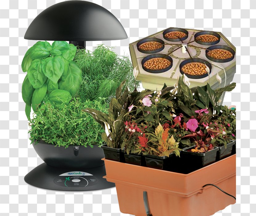 Hydroponics Miracle-Gro AeroGarden Gourmet Herb Seed Pod Kit Flowerpot Aeroponics - Growroom - Small Indoor Grow Boxes Transparent PNG