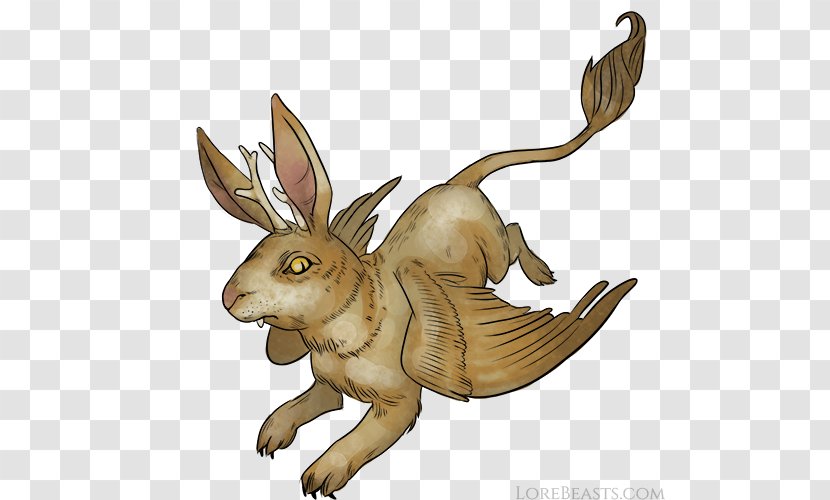 Rabbit Hare Wolpertinger Legendary Creature Folklore - Creatures From Mythology Transparent PNG