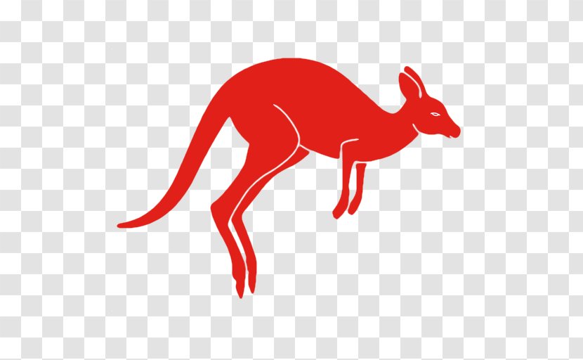 Kangaroo Dog Canidae Snout Clip Art - Animal Figure Transparent PNG