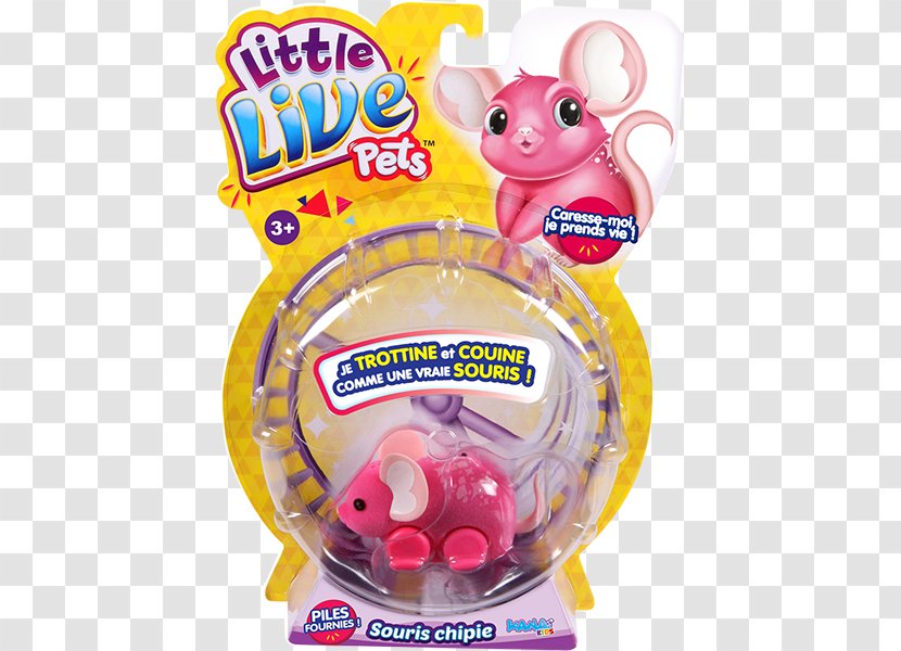 Little Live Pets Lil' S1 Mouse Fancy Transparent PNG