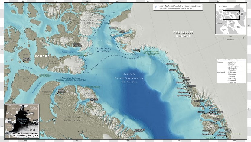 Greenland North Water Polynya Inuit Lancaster Sound Marine Mammal - Canada Transparent PNG