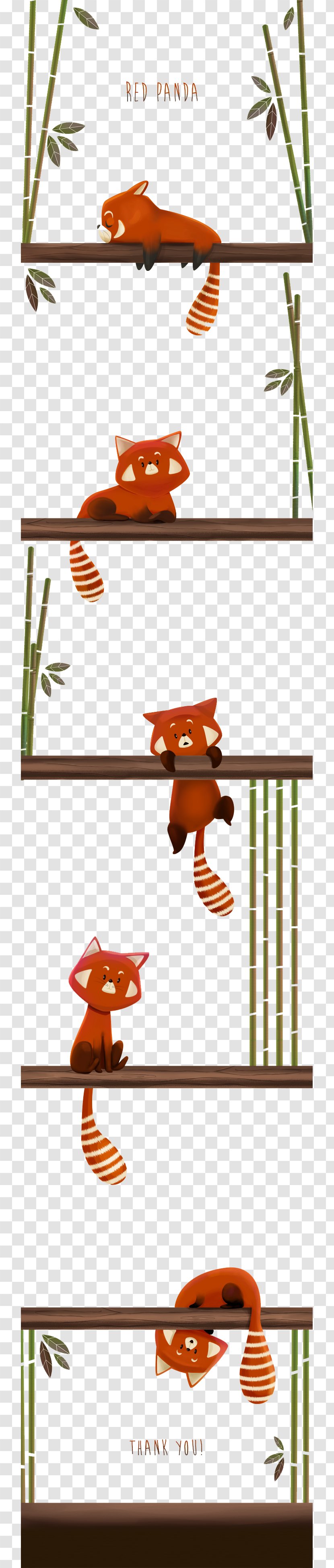 Red Panda Giant Raccoon Drawing Illustration Transparent PNG