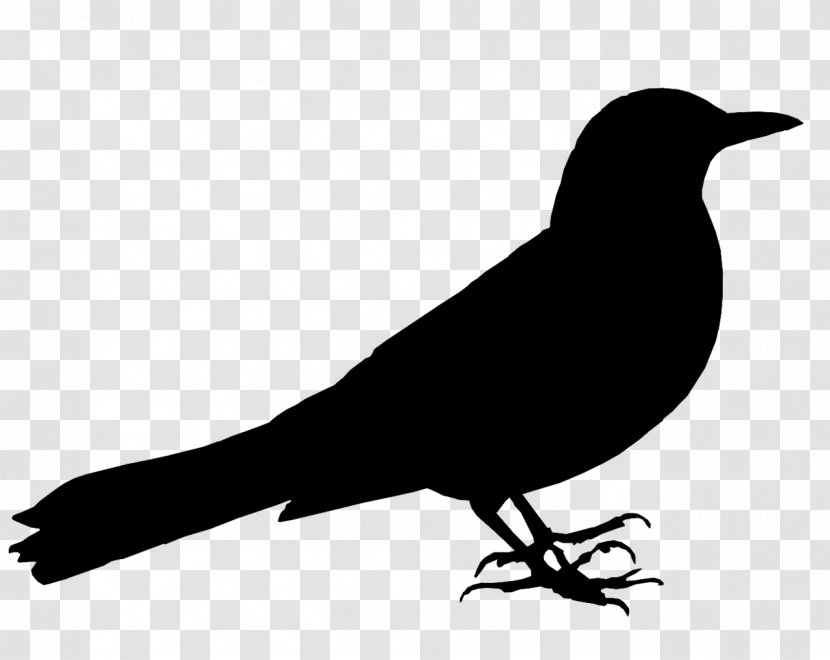 American Crow Philosophy Sociology Clip Art Doctor Transparent PNG