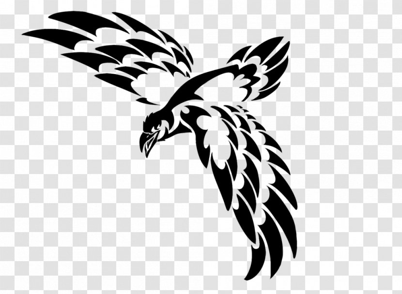 Eagle Drawing - Invertebrate - Wings Tattoo Transparent PNG