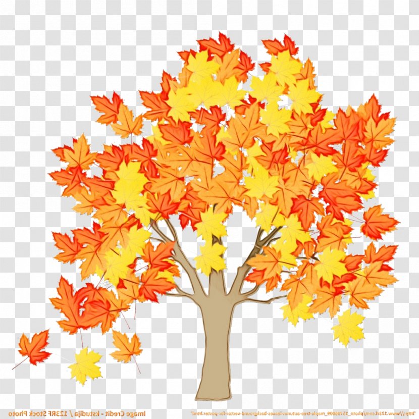Autumn Tree Branch - Maple - Twig Plane Transparent PNG