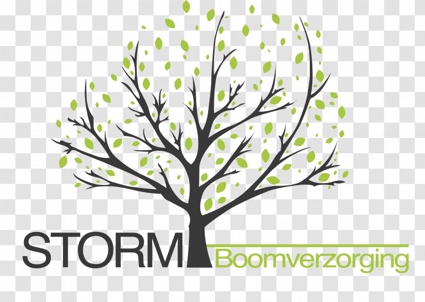 Twig Storm Boomverzorging Arboriculture Tree Branch - Willow - Boom Logo Transparent PNG