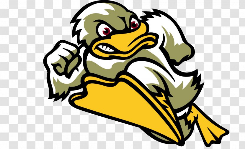 Barracudas De Montpellier Stevens Institute Of Technology Ducks Men's Basketball Women's - Lacrosse - Baseball Transparent PNG