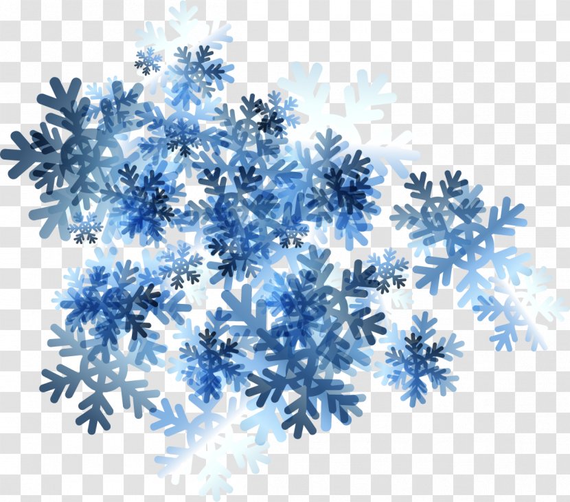 Snowflake Icon - Beautiful Flowers Transparent PNG