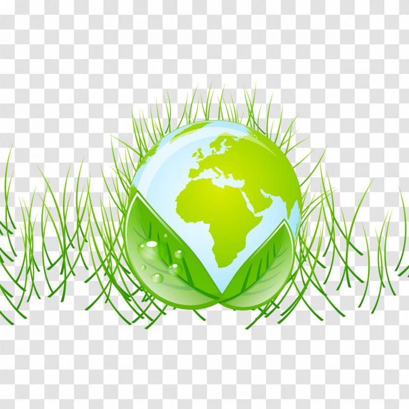 Earth Globe World Map - Ball - Vector Creative Barley Transparent PNG