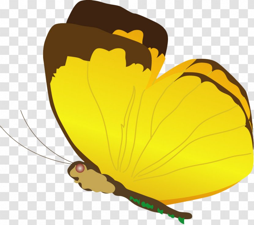 Butterfly Insect Clip Art - Leaf - Flowers Elf Transparent PNG