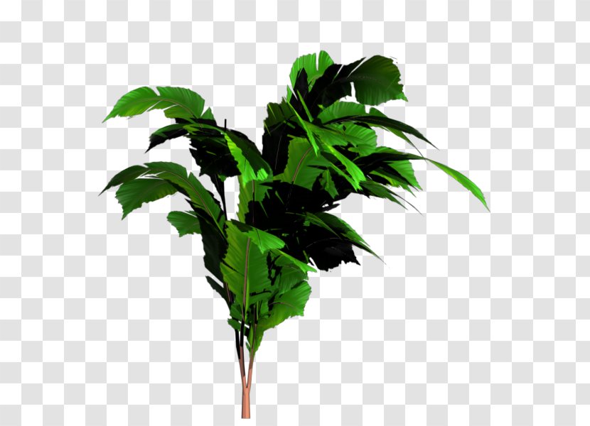 Banana Leaf Tree - Image File Formats Transparent PNG