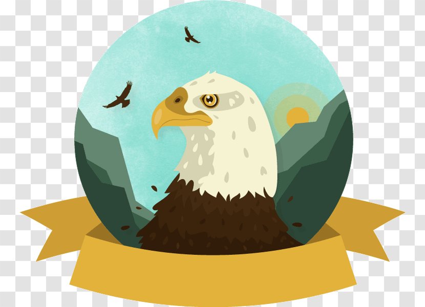 Bald Eagle White-tailed Bird - Whitetailed Transparent PNG