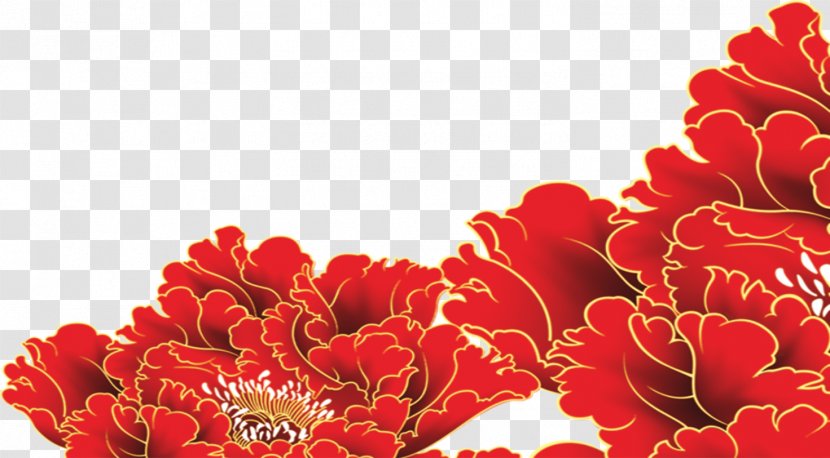 Garden Roses Moutan Peony - Carnation - Flowers Transparent PNG