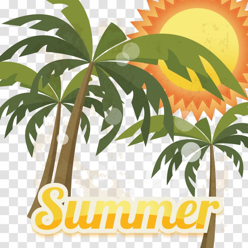 Summer Photography Euclidean Vector Illustration - Stock - Coconut Tree Download Transparent PNG