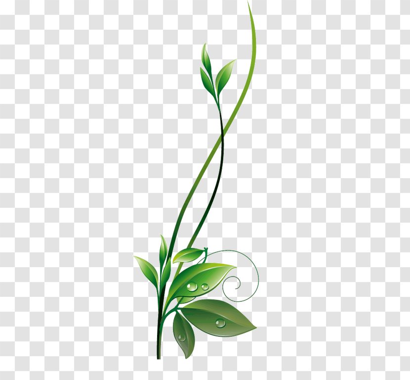 Green Clip Art - Vine - Leaf Transparent PNG