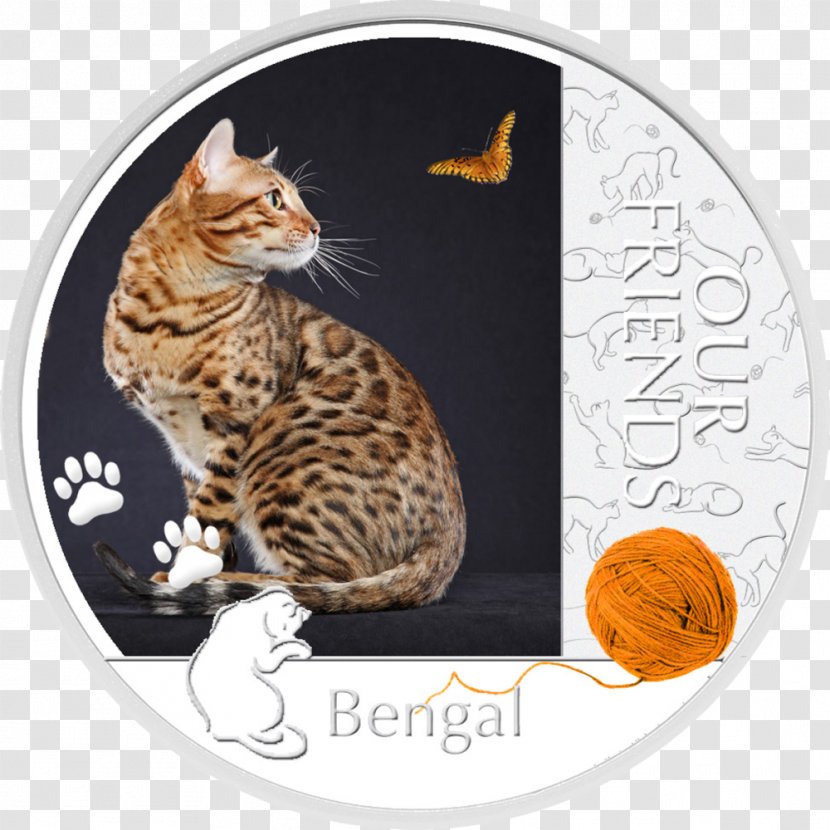 Bengal Cat Toyger California Spangled Dragon Li Domestic Short-haired - Shorthaired - Coin Transparent PNG