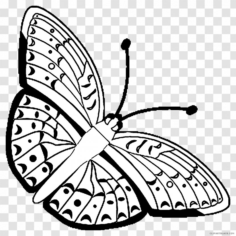 Monarch Butterfly Clip Art Brush-footed Butterflies Drawing - Swallowtail Transparent PNG